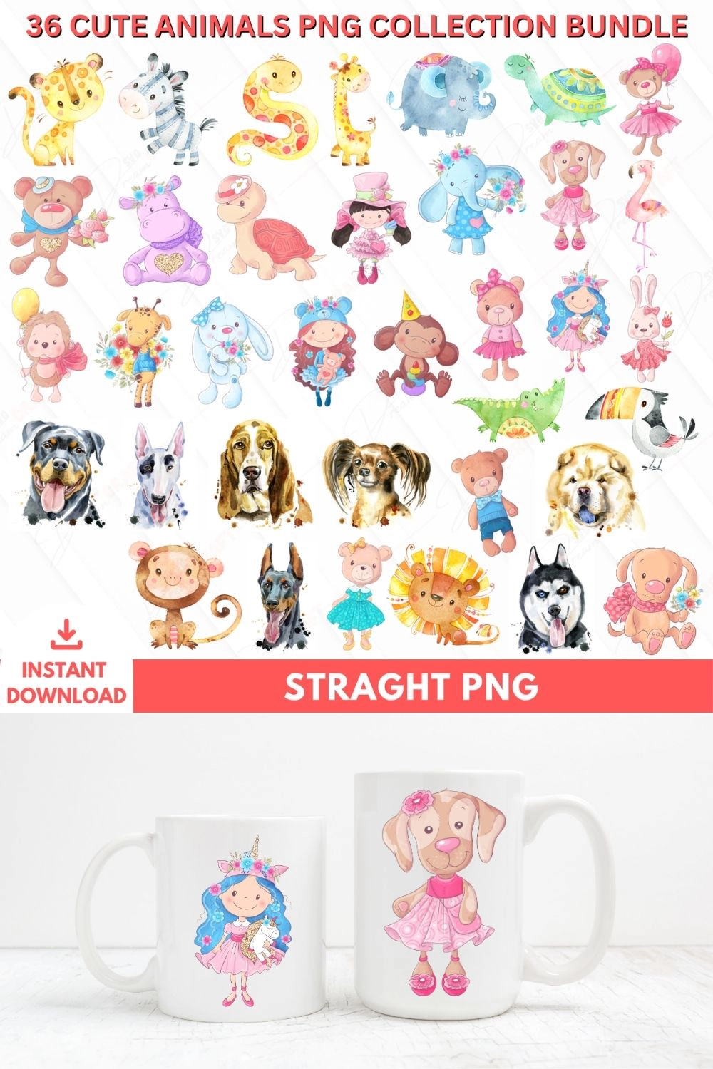 36 Cute Animals PNG Collection Bundle