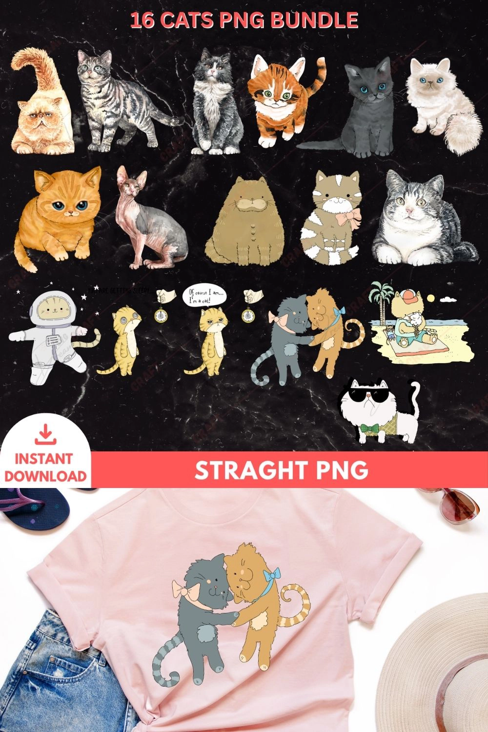 16 Cats PNG Bundle