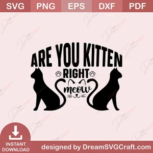 Are You Kitten Right Meow SVG