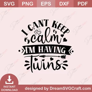 I Cant Keep Calm I Am Having Twins SVG
