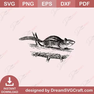 Squirrel SVG