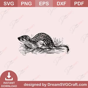 Squirrel SVG