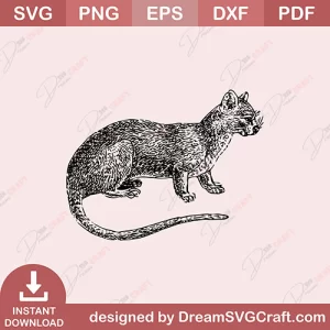 Cat SVG