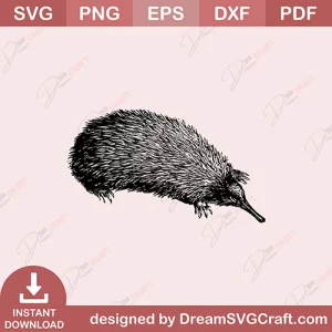 Echidna SVG