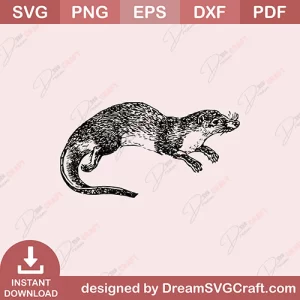 Sketch SVG
