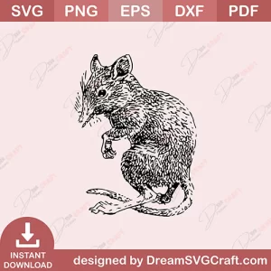 Brown rat SVG