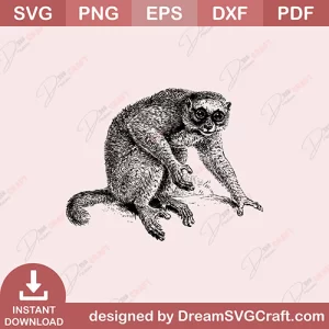 Pygmy Slow loris SVG