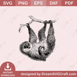 Pygmy Three Toed Sloth SVG