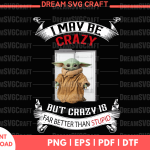 I May Be Crazy But Crazy Is Better PNG